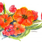 cs.17 orange & pink tulips